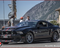 TSR Watermark - 0636